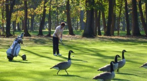 8ème Tournoi de Golf Enfances Indiennes le Mardi 09 Octobre 2012